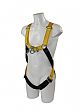 Two Point Safety Harness